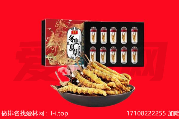 锡山区回收虫草.jpg